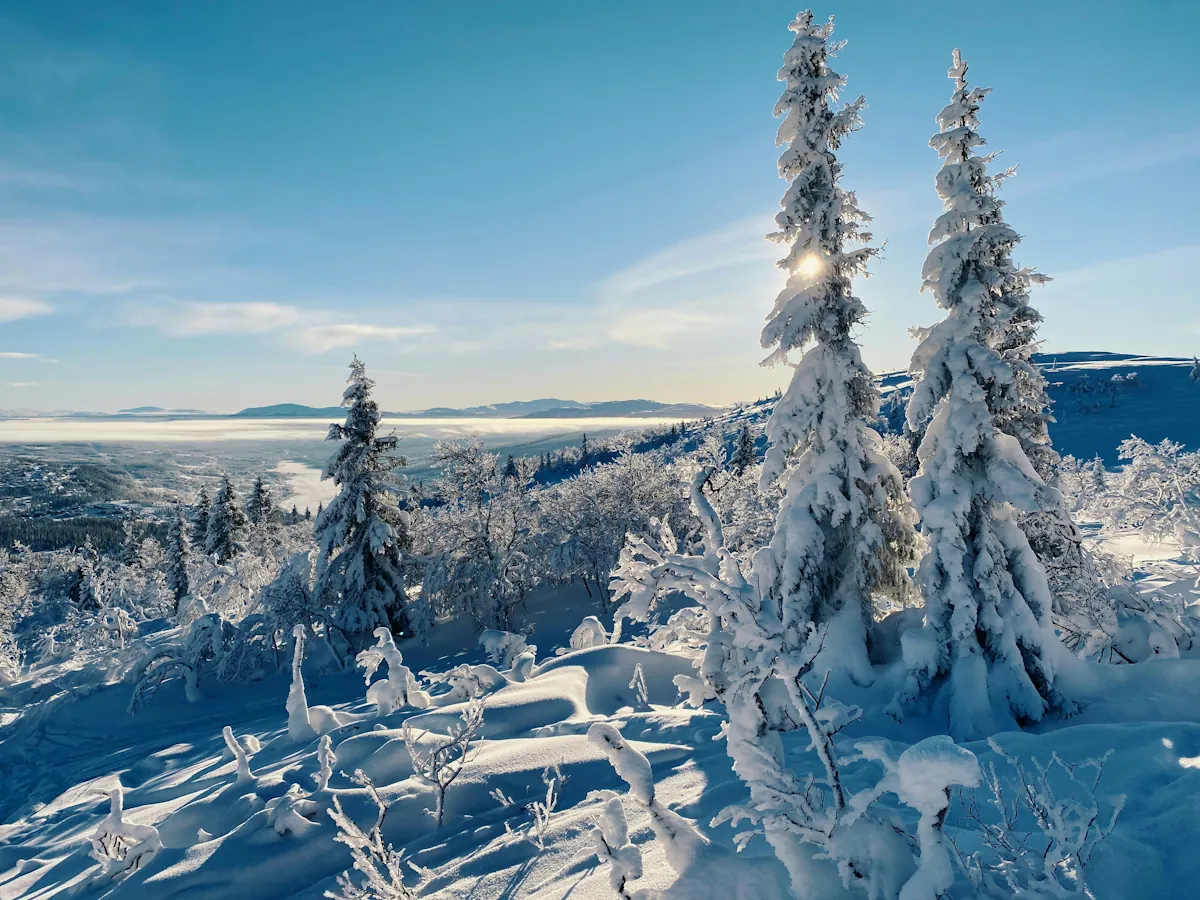 svenska fjällen